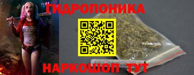 спиды Обь