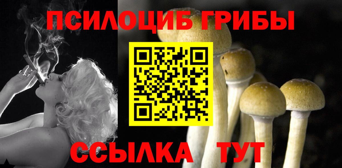 Псилоцибиновые грибы Cubensis Славгород
