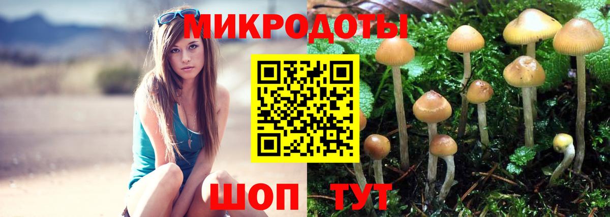 Псилоцибиновые грибы Cubensis  Галлюциногенные грибы GOLDEN TEACHER  Вход с VPN  Славгород 